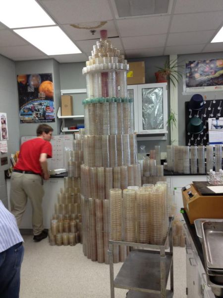 Morning Picdump