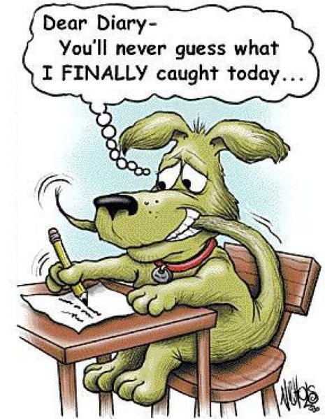 Morning Picdump