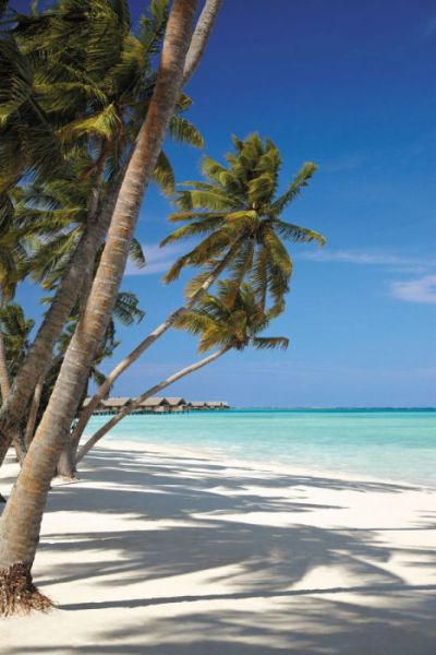 You Want to Go to the Maldives Villingili Resort and Spa