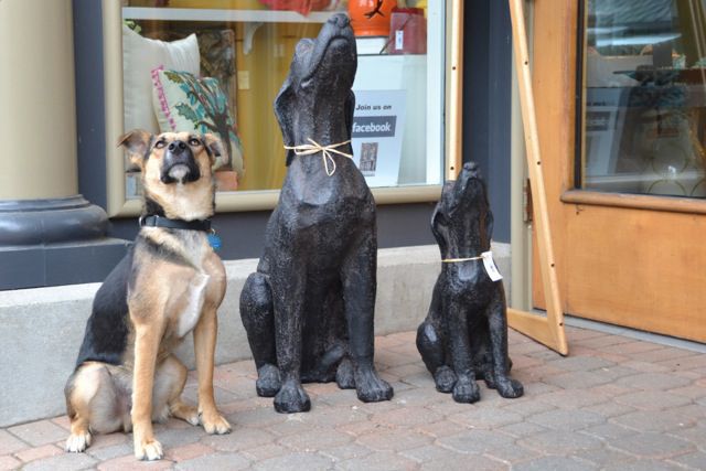 Daily Picdump