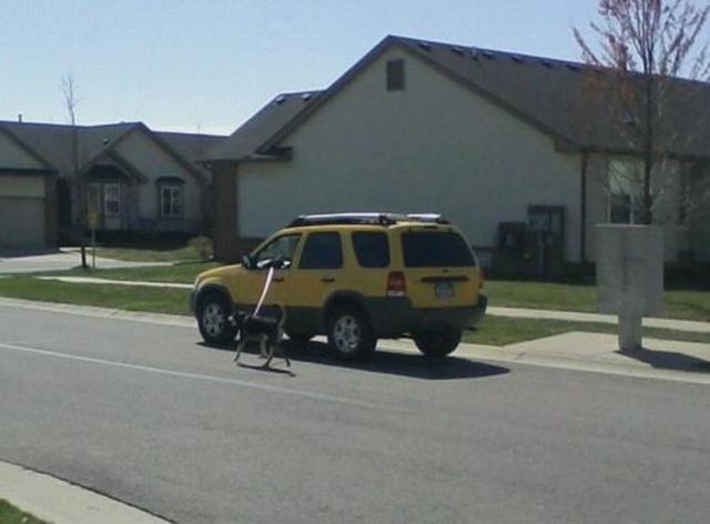 Morning Picdump
