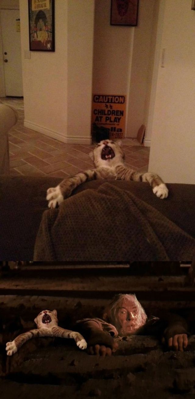 Morning Picdump