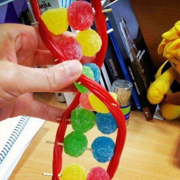 Morning Picdump