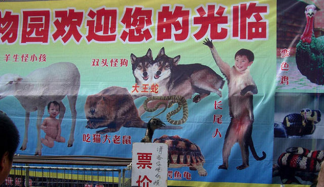 China: Where the Weird Things Are