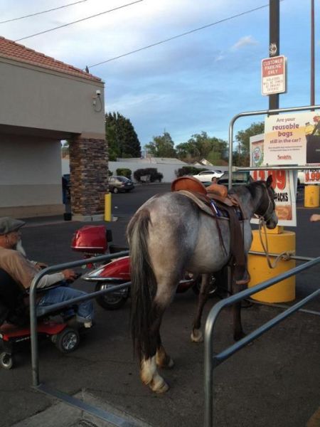 Morning Picdump
