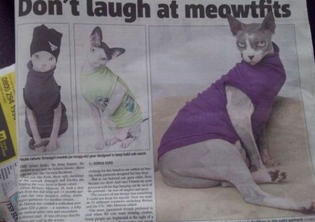 Daily Picdump