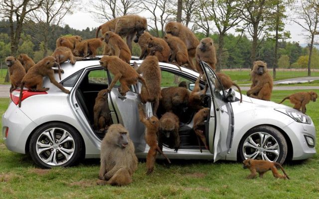 Daily Picdump
