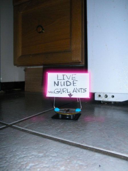 Morning Picdump