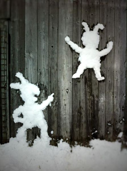 Morning Picdump