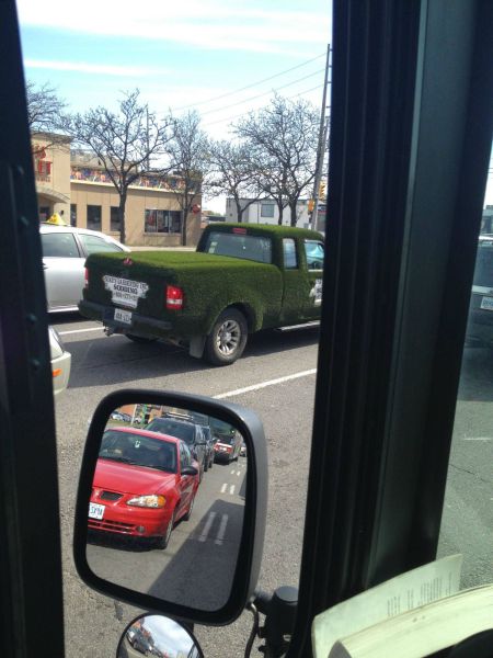 Morning Picdump