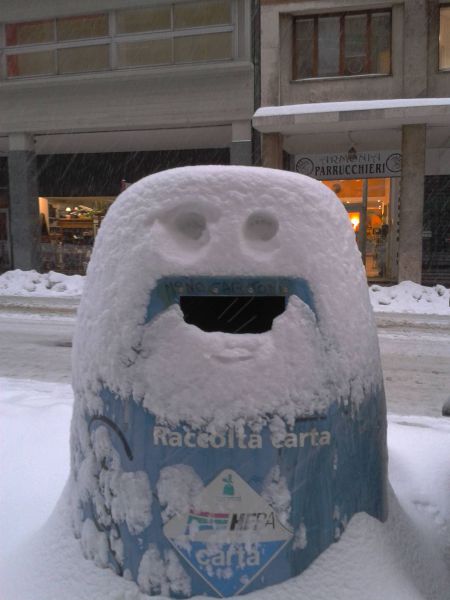 Morning Picdump