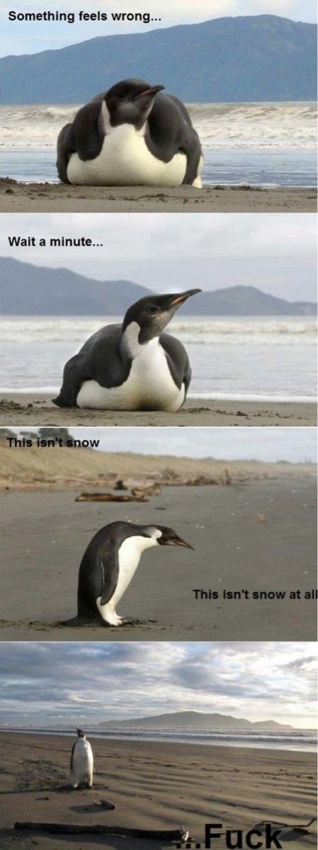 Morning Picdump