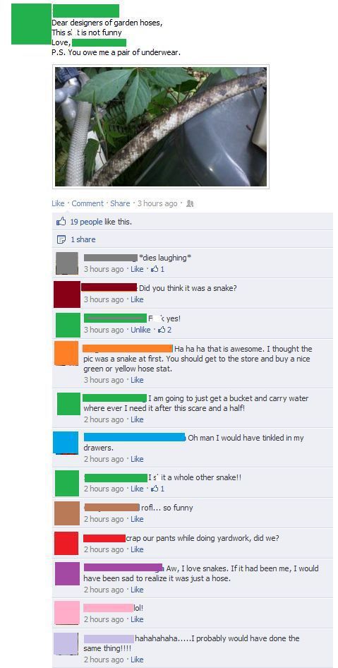 Morning Picdump