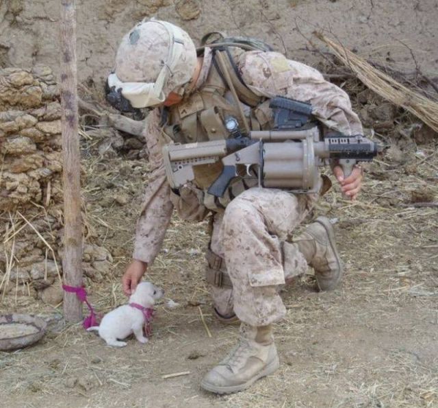 Morning Picdump