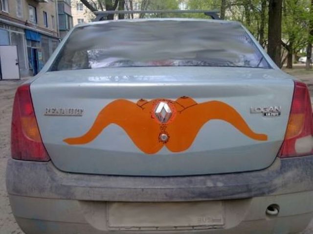 Morning Picdump