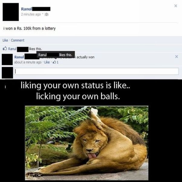 Morning Picdump