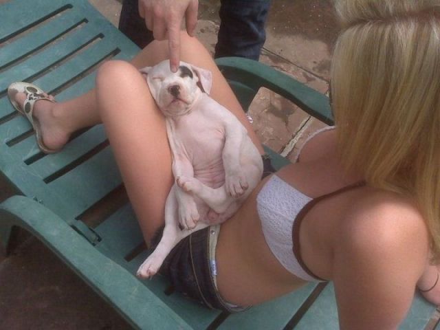 Daily Picdump