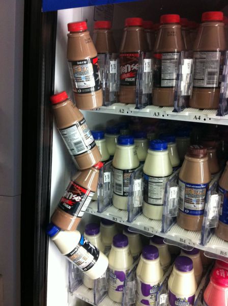 Daily Picdump