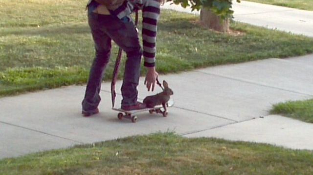 Daily Picdump