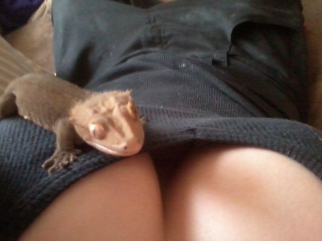 Daily Picdump