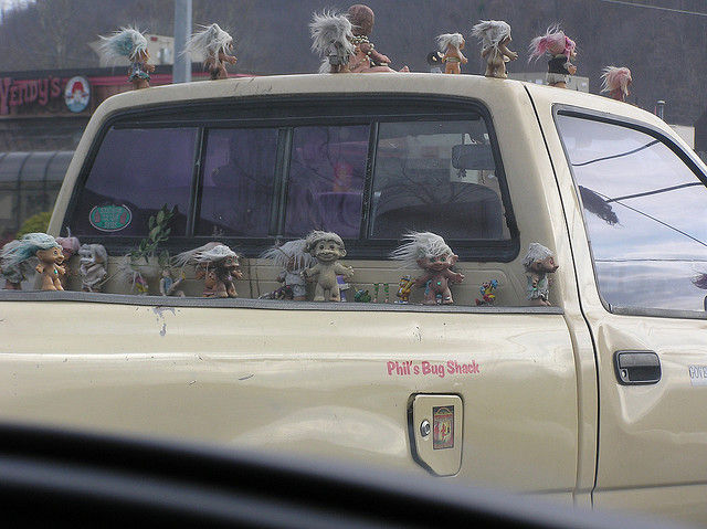 Morning Picdump