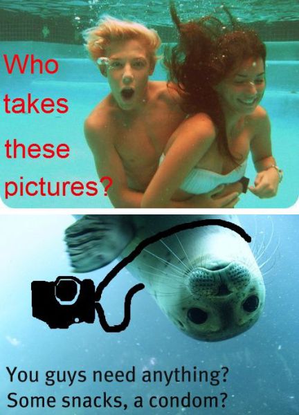 Morning Picdump