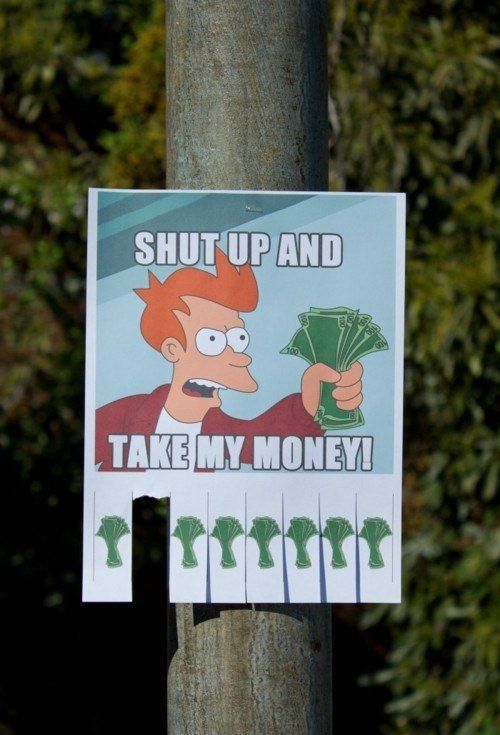 Morning Picdump