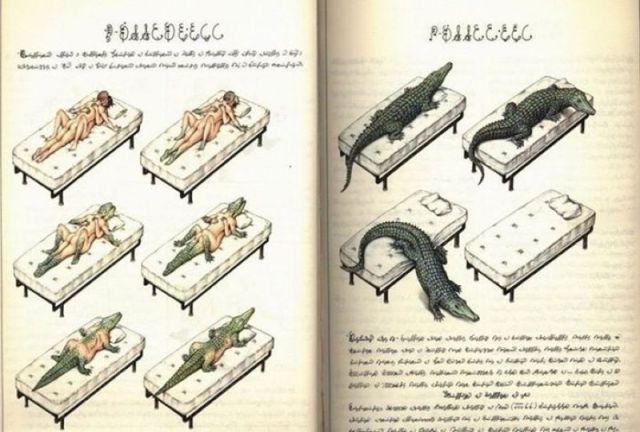 Morning Picdump