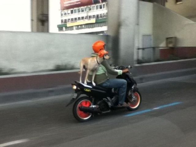 Morning Picdump