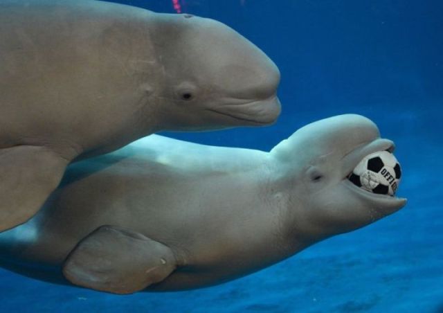 Morning Picdump