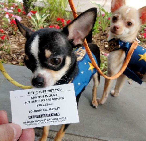 Morning Picdump