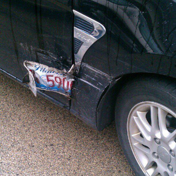 Morning Picdump