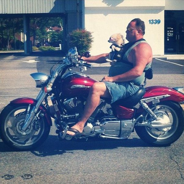 Morning Picdump