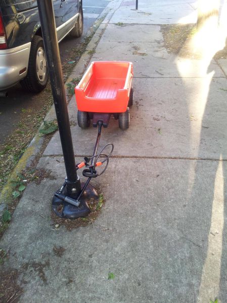 Morning Picdump