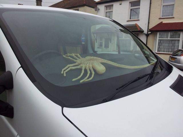 Morning Picdump