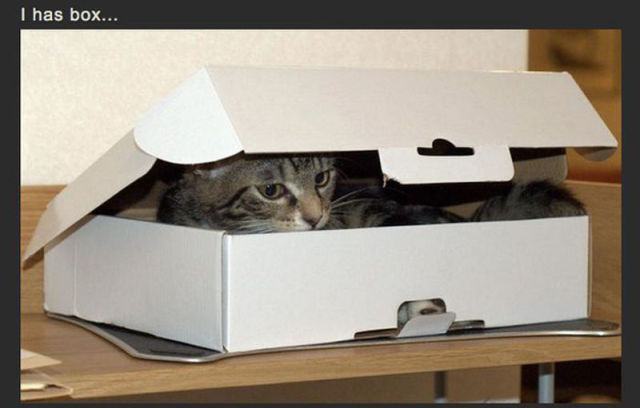 Get Out of My Box!