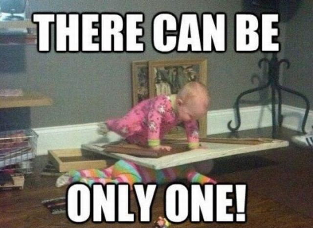 Morning Picdump