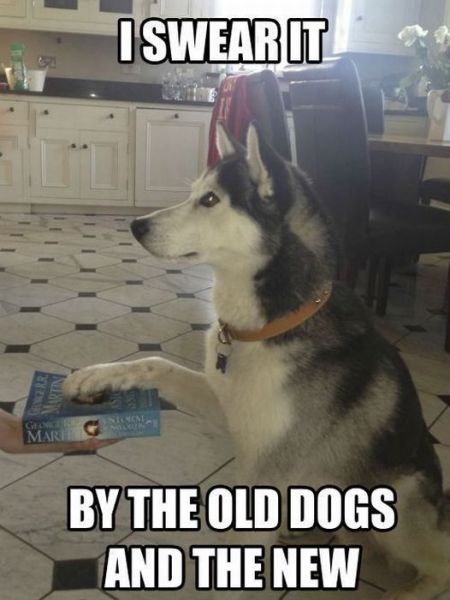 Morning Picdump