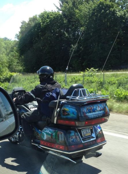 Morning Picdump