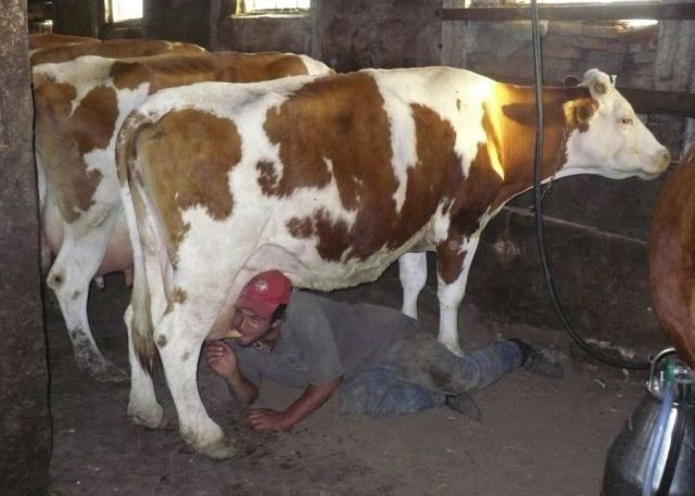 Morning Picdump