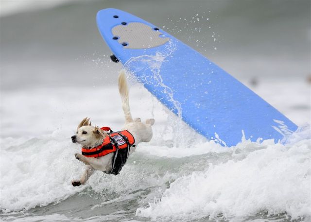 Morning Picdump