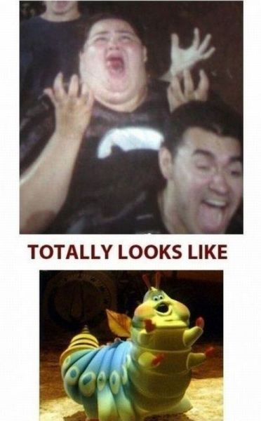 Morning Picdump