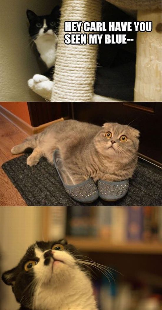 Morning Picdump