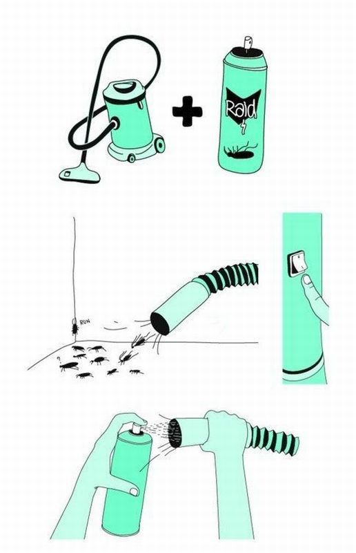 Morning Picdump