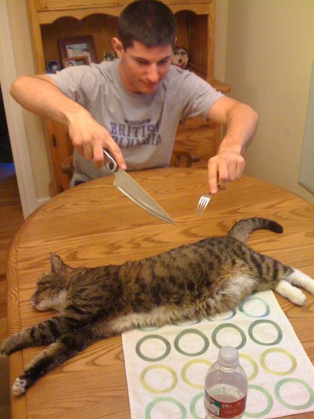 Daily Picdump