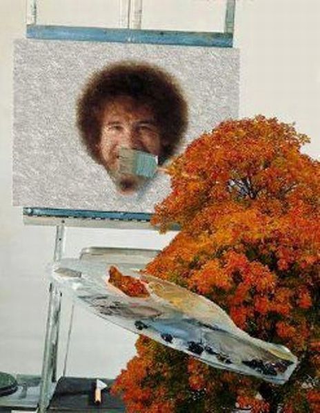 Daily Picdump