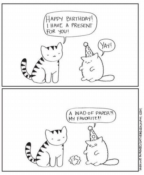 Daily Picdump