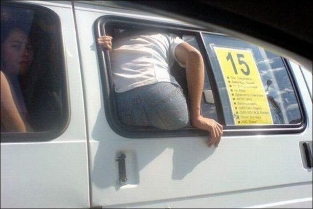 Daily Picdump