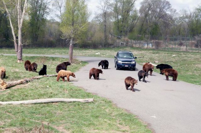 Daily Picdump