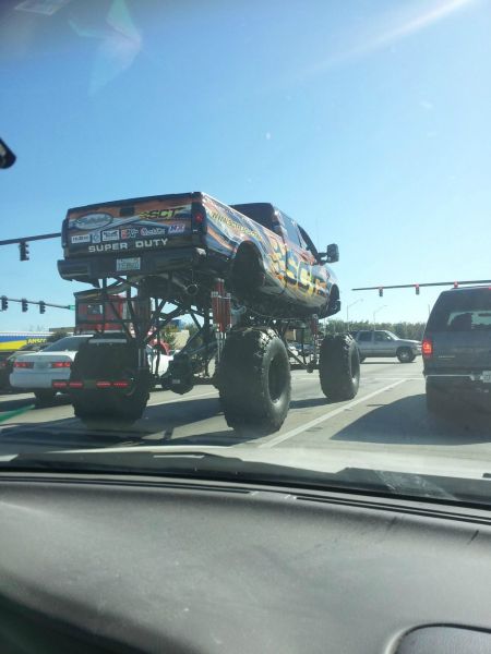 Daily Picdump